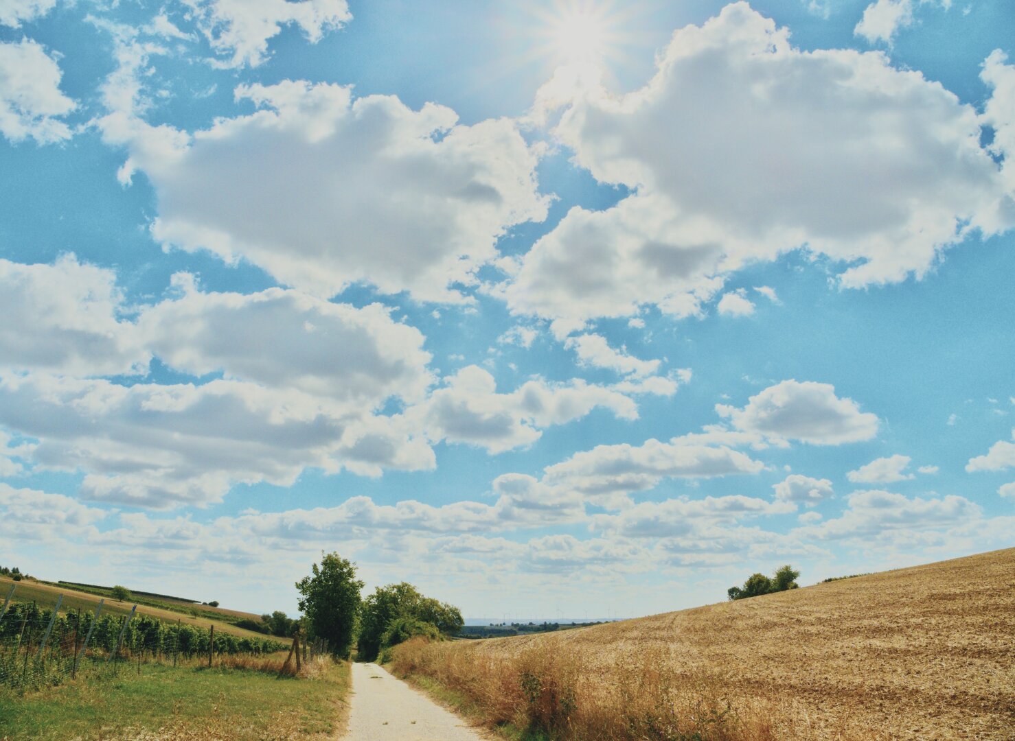 Sunny september countryside shot near poysdorf in the Weinviertel, lower Austria