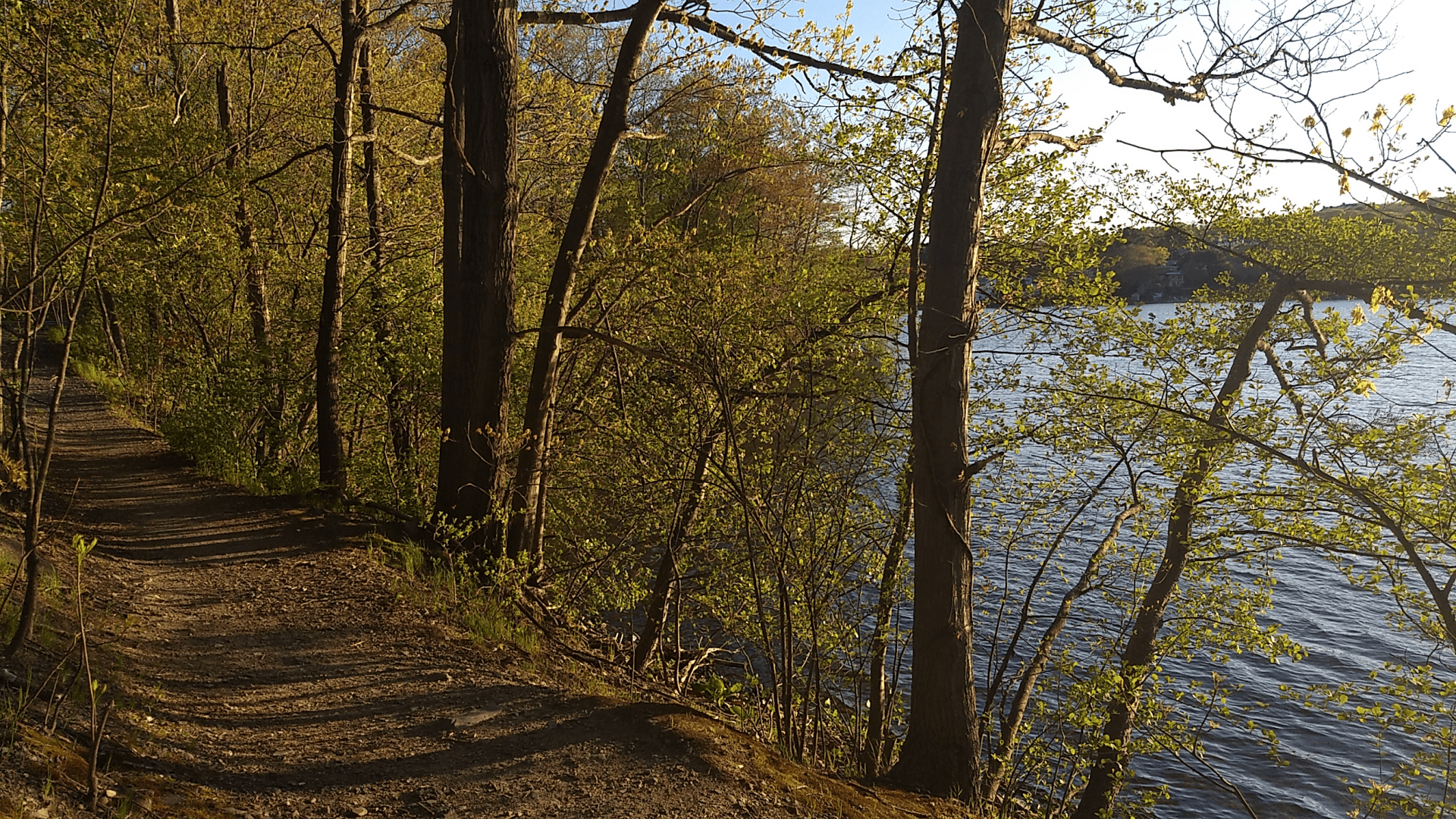 Layout: landscape. Narrow path by a lake, between trees.