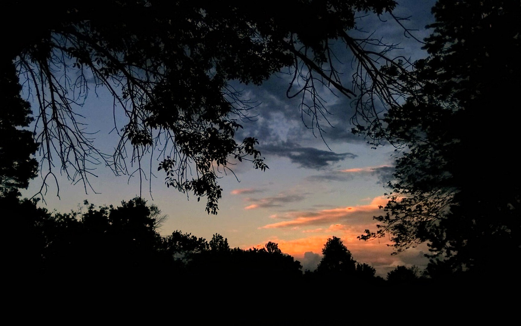 Darkening blue sky with dark and crepuscular clouds, at evening twilight; tree silhouettes in the foreground.