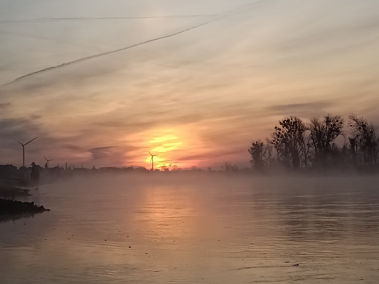 wir blicken zum Sonnenaufgang auf die Elbe.
im Osten färbt die Sonne die Wolken rötlich gelb und über dem Fluss steht eine dünne Nebelschicht.
Über den Fluss fährt im Nebel, eine Fähre VOB Ufer zu Ufer.
am rechten Bildrand stehen kahle Bäume, die ihre Äste in den Himmel strecken.
Die Sonne geht genau hinter einem Windrad auf.