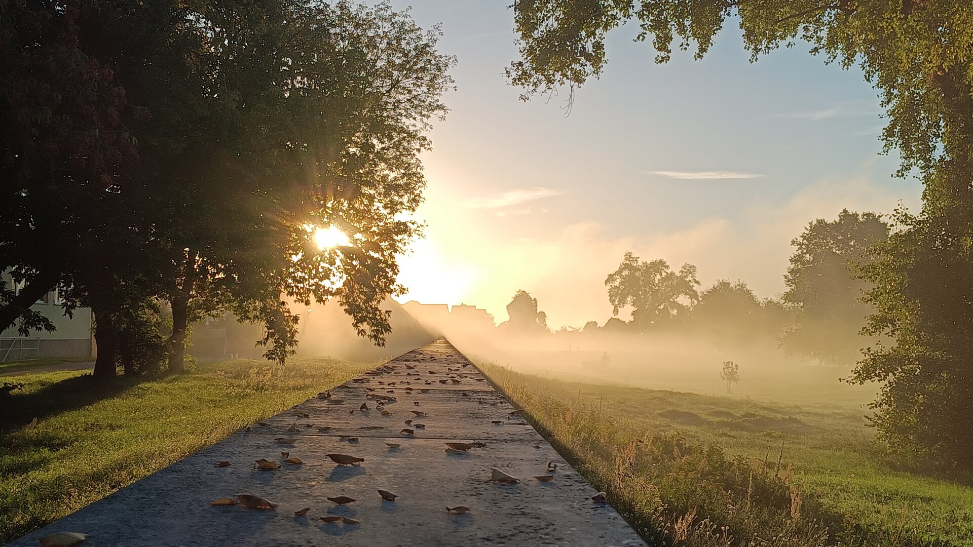 wir blicken Richtung Osten in den Sonnenaufgang.
schwacher Nebel liegt über den Wiesen und wird von der Sonne golden erleuchtet.
eine Hochwasserschutzmauer läuft dem Sonnenaufgang entgegen