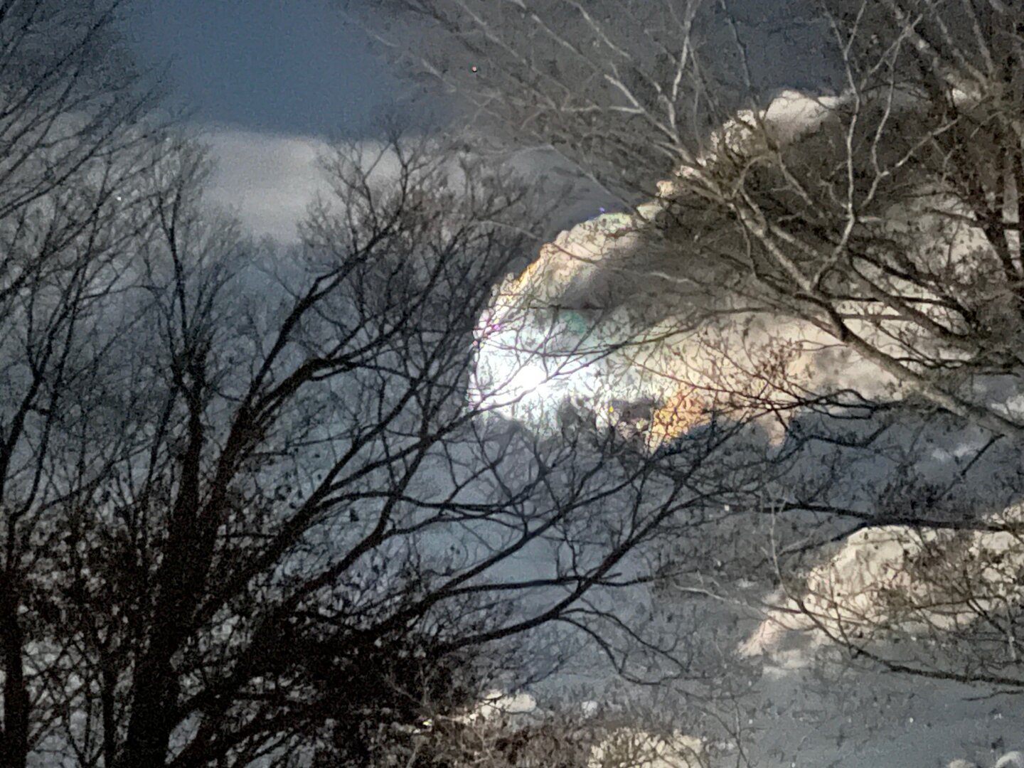 Bright Moon through trees. The moon is bright behind a cloud. A couple of trees, barren of leaves are in the foreground.
