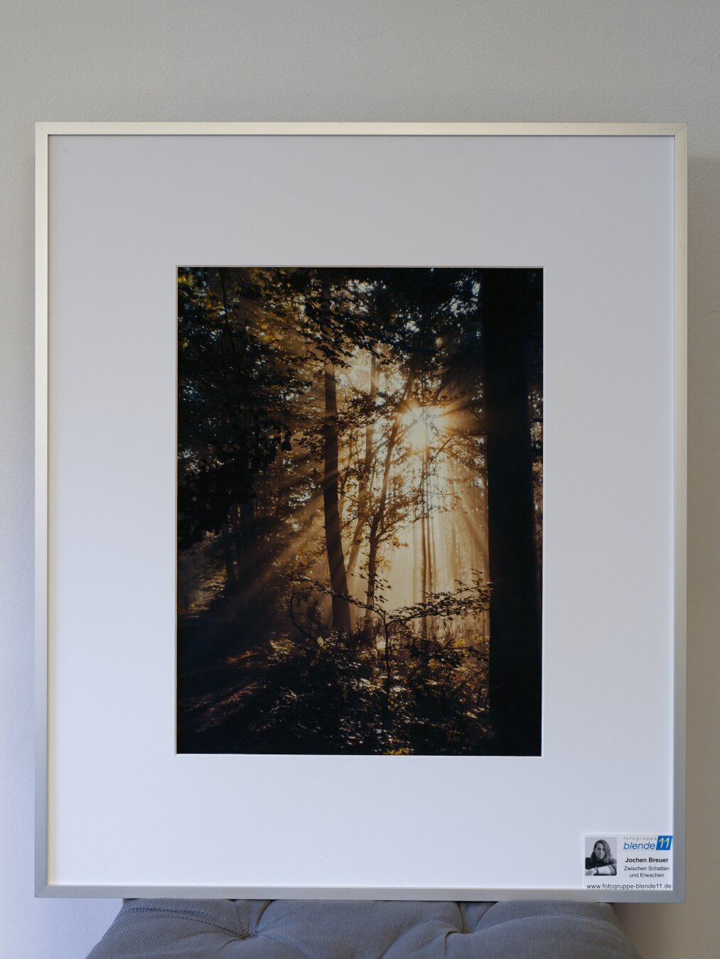 A framed fine art print showcasing bright sun rays piercing through dark tree branches and foliage in a hazy, misty forest.
