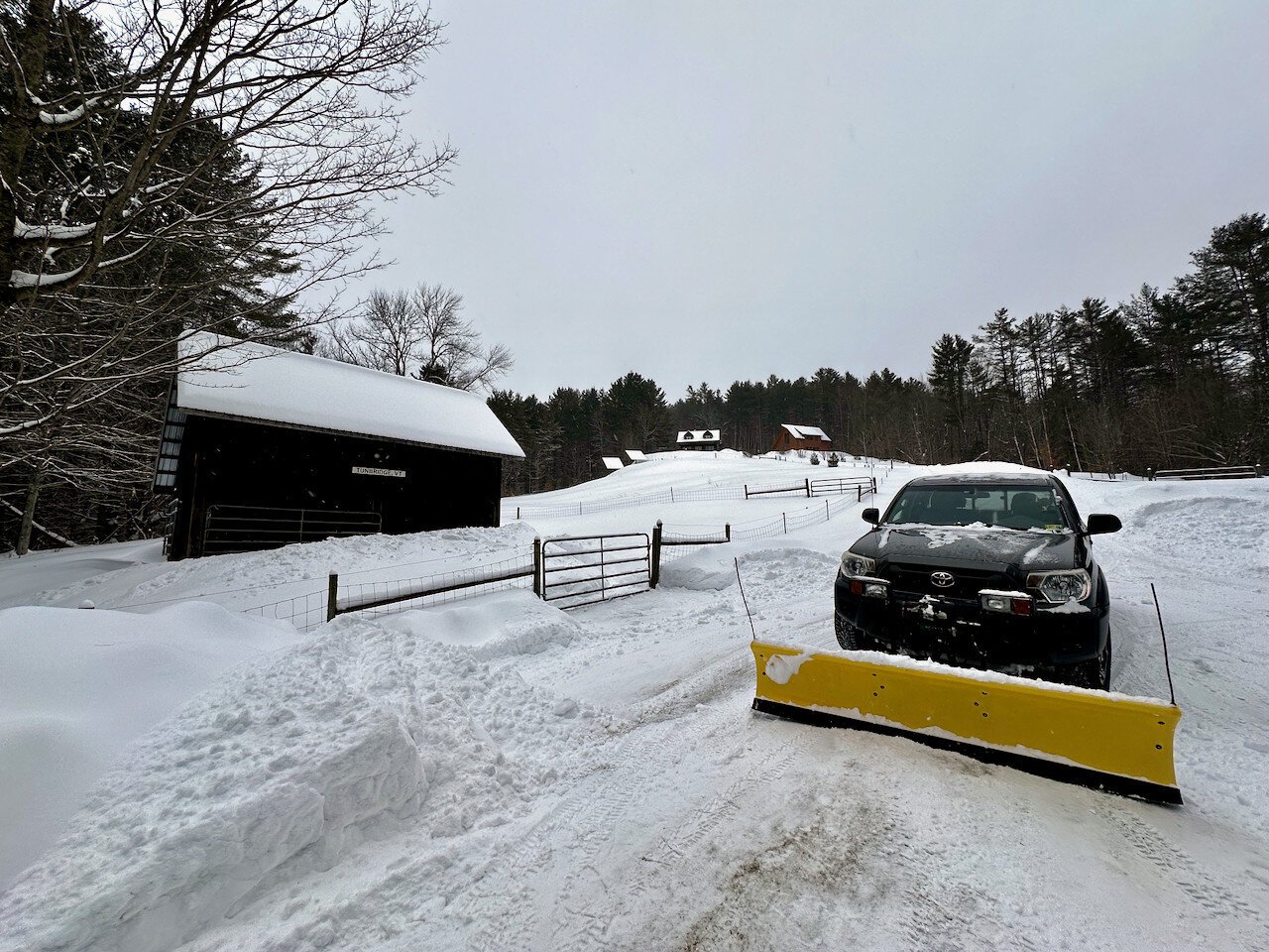 Lots of snow everywhere. In the foreground right is a dark grey pickup truck with a yellow snow plow attached. On the left a sheep shed can be seen, and in the background, high on the hill are two buildings.