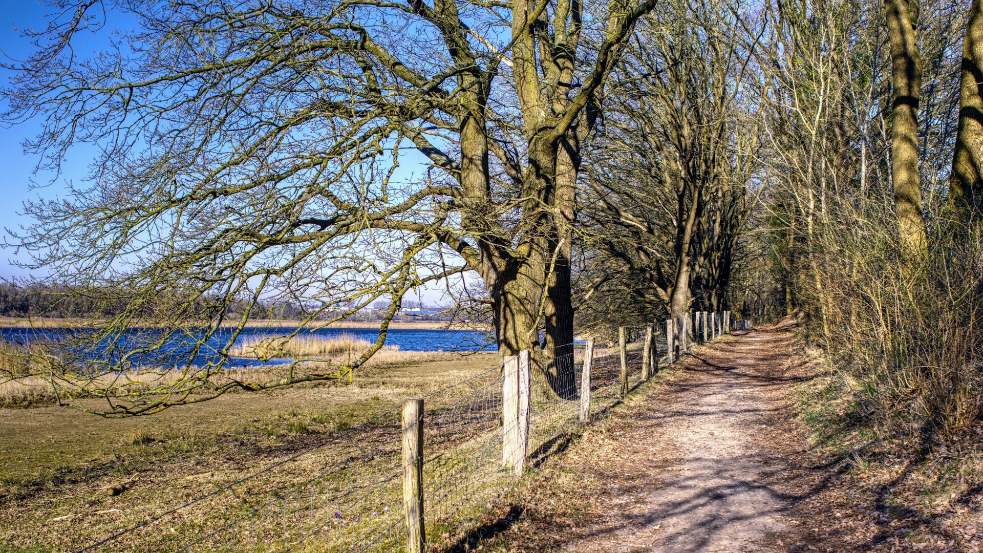 Wanderweg mit Weidezaun und diversen Bäumen. Links Wasser. Die Sonne scheint.