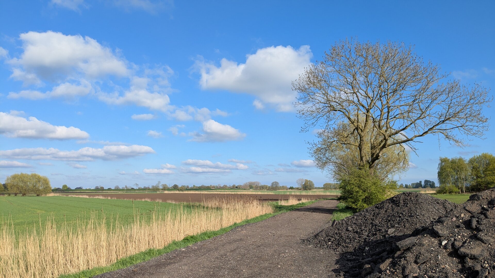 Ein schwarzer Schotterweg. Links grüne Wiese, rechts ein Haufen schwarzer Schotter und ein Baum. Die Sonne scheint, der Himmel ist blau mit kleinen weißen Wolken.