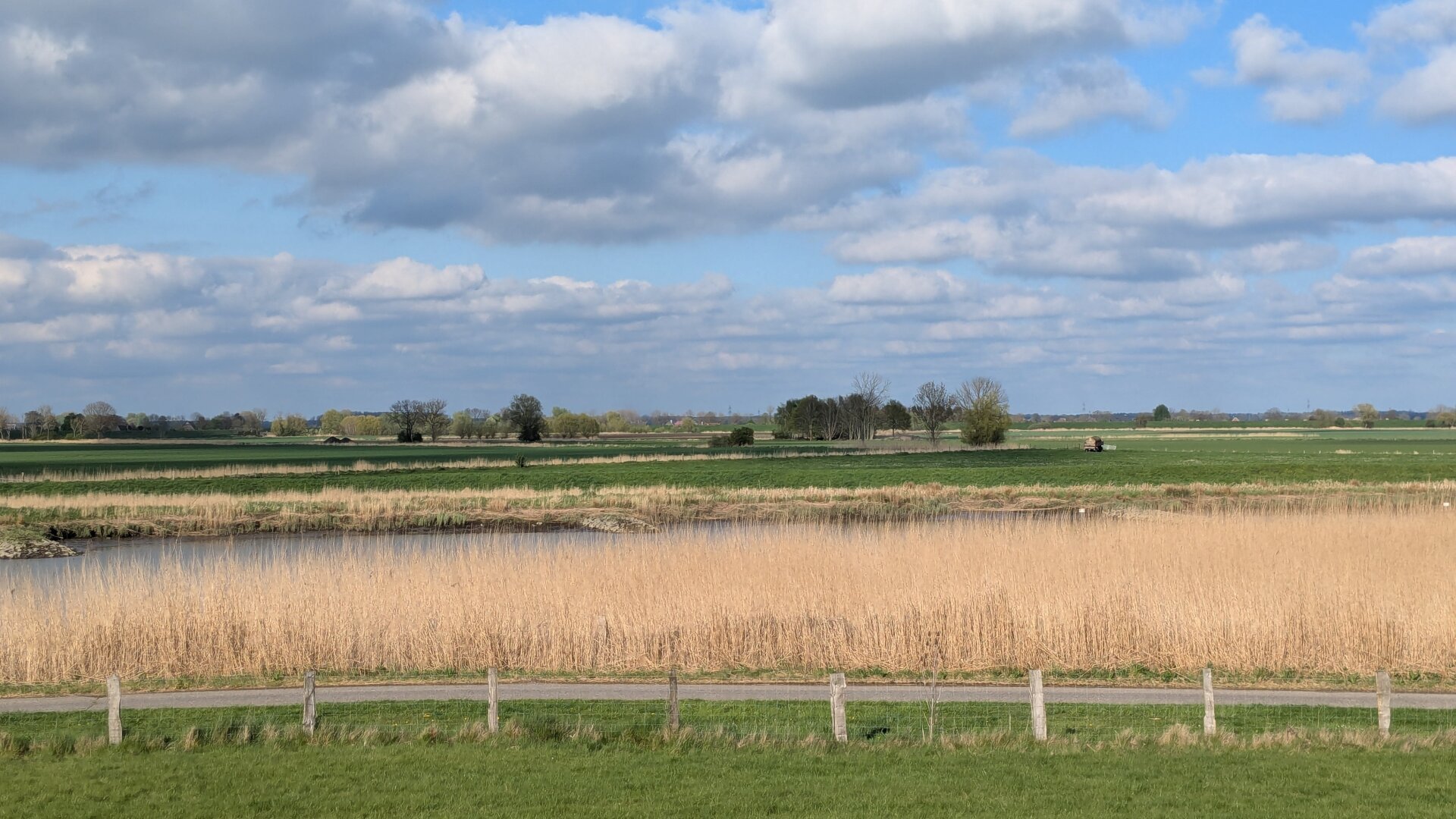 Plattes Land. Freihe Sicht bis zum Horizont. Wiesen und einzelne Bäume und Seen. Im Vordergrund verläuft eine schmale Straße von links nach rechts. Vor der Straße ein Viehzaun. Die Sonne scheint, der Himmel ist blau mit weißen Wolken.