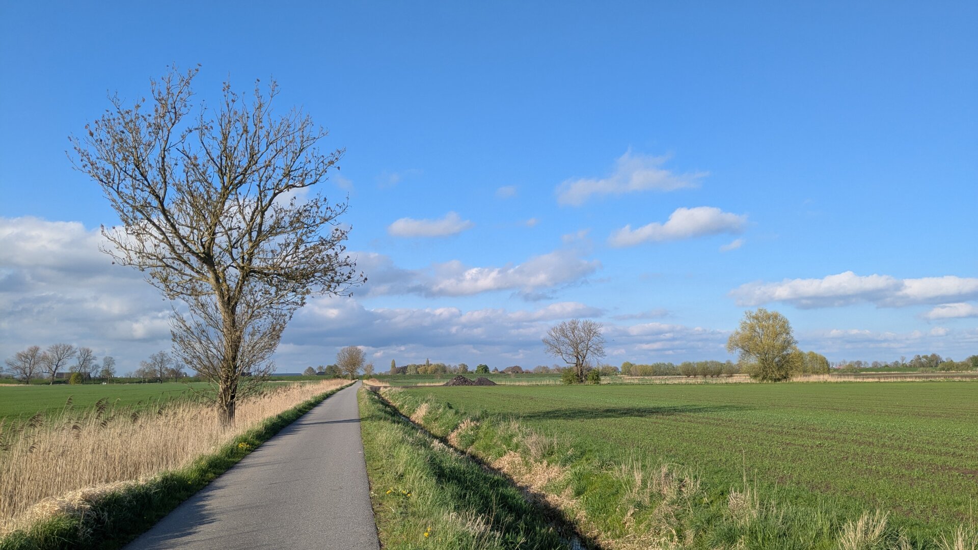 Eine schmale Straße führt geradeaus zum Horizont. Links und rechts grüne Wiesen. Rechts der Straße verläuft ein Graben. Links steht ein Baum. Die Sonne scheint, der Himmel ist blau mit einigen weißen Wölkchen.