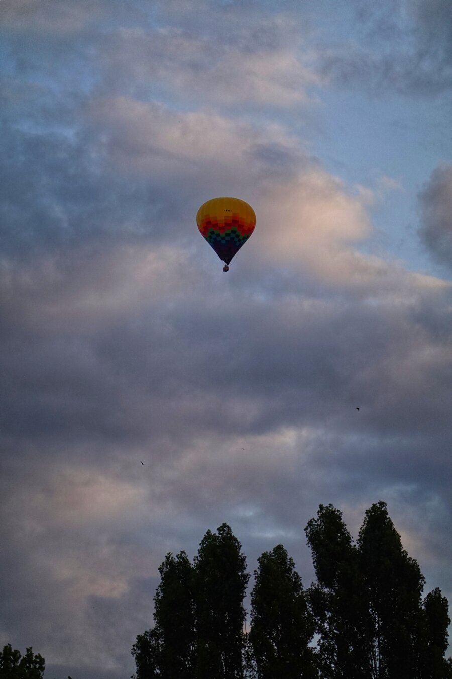 bunter Heißluftballon, Wolken und zwei Vögel