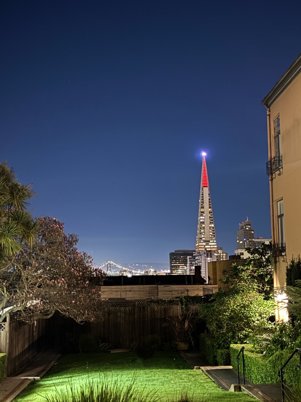 View east in San Francisco from Nob Hill. There is a lawn with a magnolia tree at the bottom left and the Transamerica building and Bay Bridge in the distance.