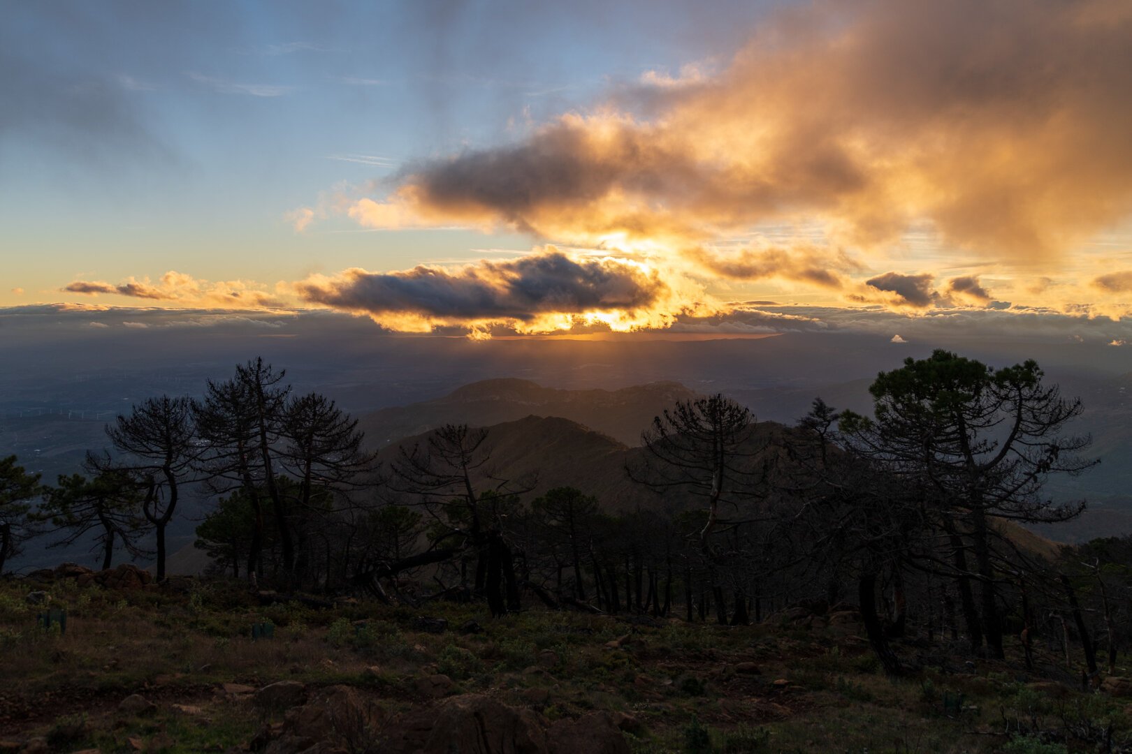 Paisaje desde Sierra Bermeja. En la parte superior un cielo con bastantes nubes y a través de ellas los rayos de sol. En la parte inferior se aprecian las siluetas de los árboles y las montañas lejanas.