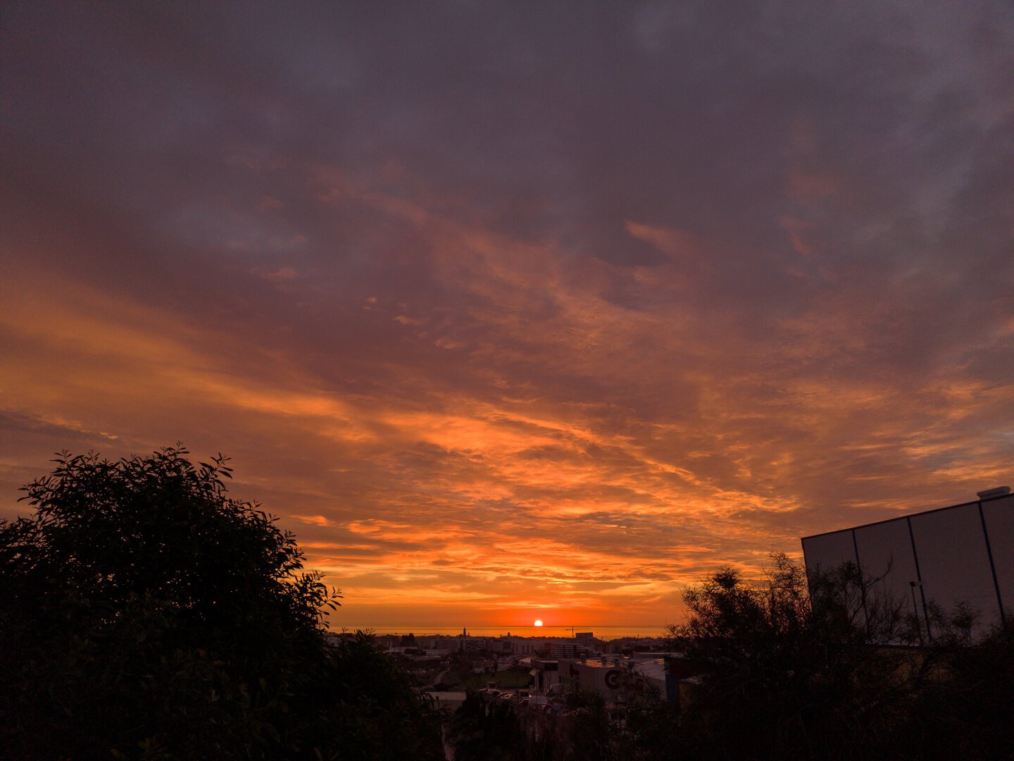 Un impresionante amanecer colorea el cielo con tonos anaranjados y rojizos. Las nubes, pintadas por los colores cálidos del sol levante, se extienden a través de todo el cielo. En el horizonte, se puede ver una línea de edificios silueteados contra el brillo del cielo. Árboles oscuros se perfilan en primer plano, a la izquierda y a la derecha de la imagen, ofreciendo contraste con el resplandor del cielo. El sol se encuentra cerca del horizonte, marcando el comienzo del día.