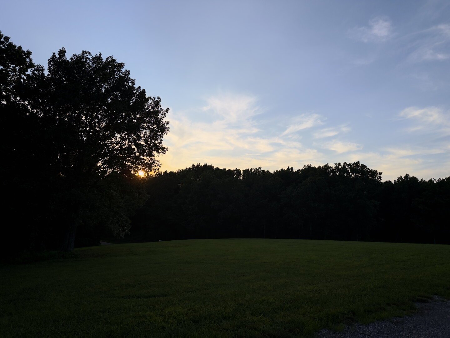 Sunset behind a tree and a forest, with a grassy field in the foreground and a partly cloudy sky above.