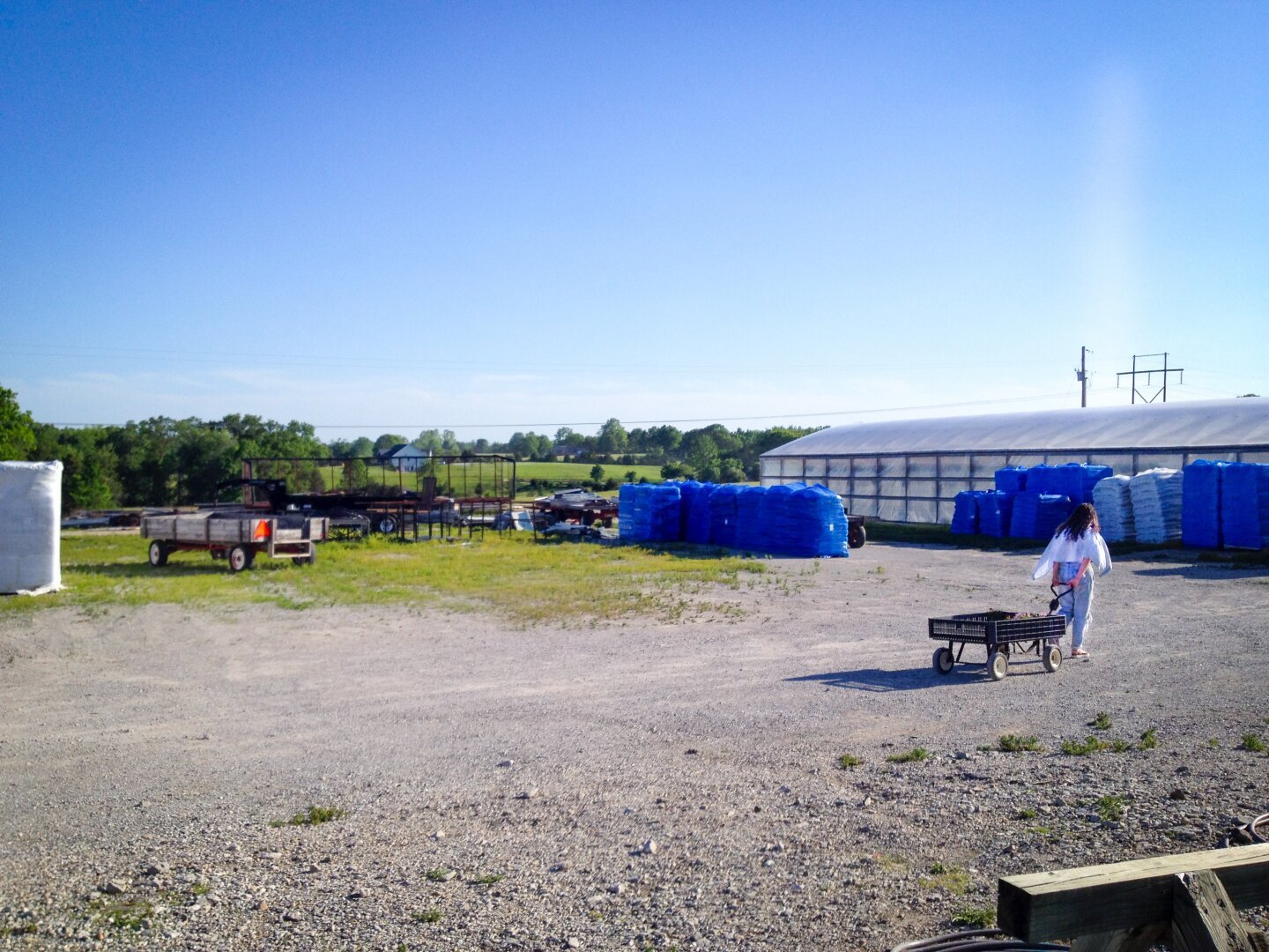 An outdoor scene at an industrial or agricultural site with a person pulling a cart. Large stacks of blue and white bags or containers are piled near a long building surrounded by open fields and trees under a clear blue sky.