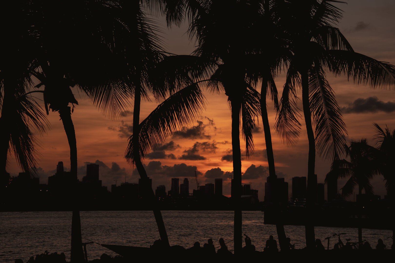 A sunset over some skyscrapers, with palm trees and people silhoutted against the foreground