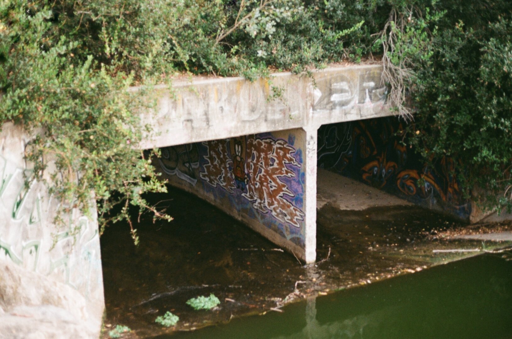 Photo was not tagged with any alt text.