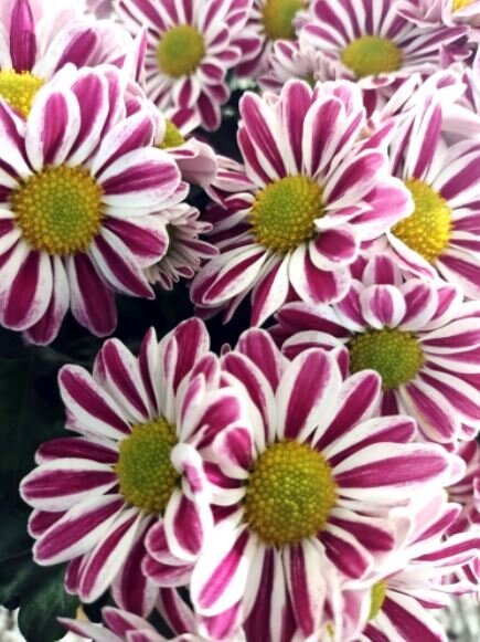 Photo was not tagged with any alt text.