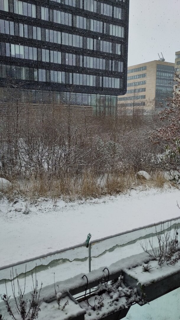 Et sneklædt (by)landskab med faldende snefnug på baggrund af en mørk kontorbygning.