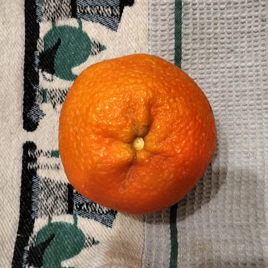 Une mandarine