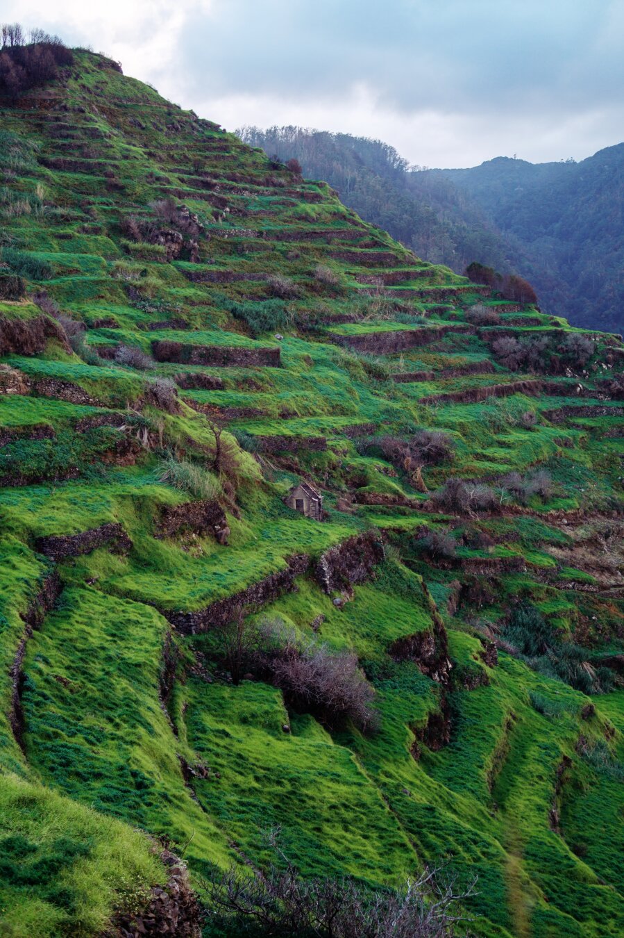 Green rolling hills, in the center is a small brick house
