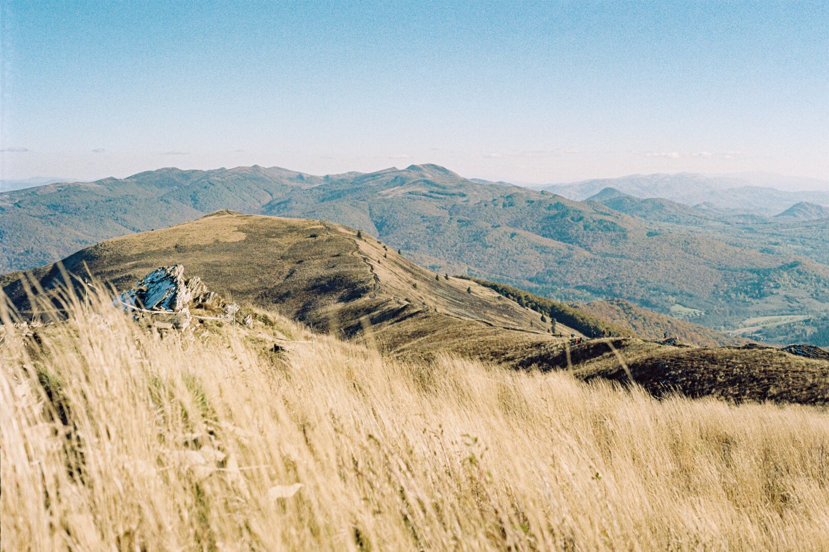 Wide film photo of the grassy ridge of Połonina Caryńska in the Bieszczady Mountains, Poland, showing golden autumn grass in the foreground, a rocky outcrop, and hikers walking along a distant ridge trail under a clear blue sky.