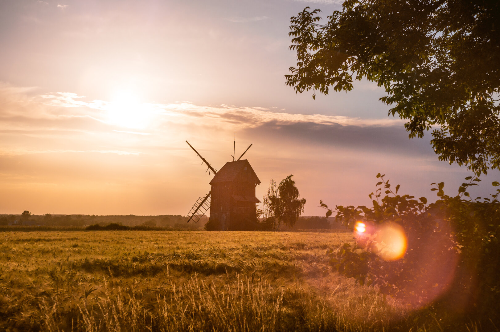 A traditional Polish wooden windmill silhouetted against a glowing sunset sky over a golden grain field. Warm orange light floods the landscape, with lens flare adding to the dreamy atmosphere. Tree branches frame the right side of the scene, evoking timeless rural heritage.