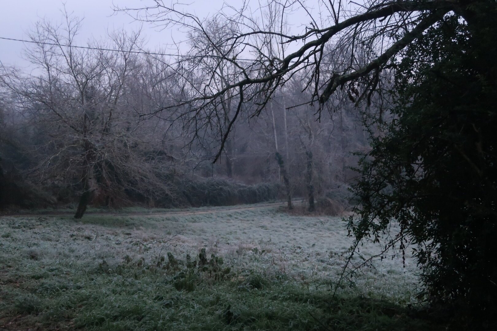 Small wooded path covered with frost in the middle of winter