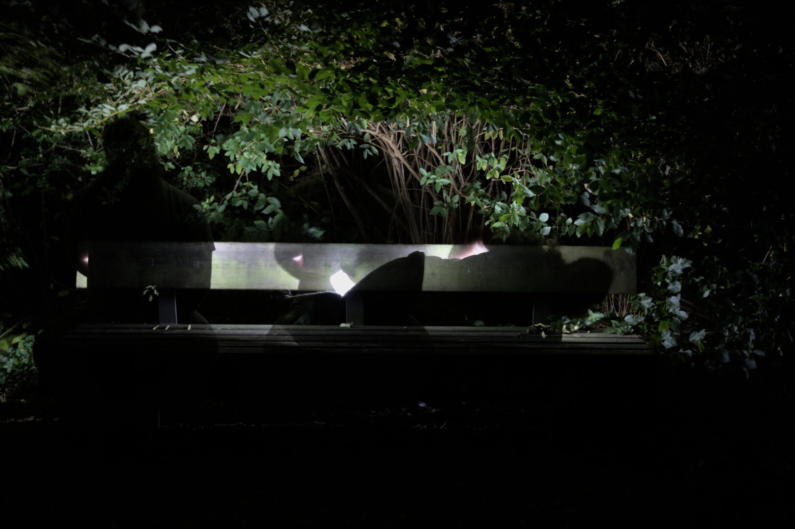 Deux silhouettes semi-transparentes devant un buisson