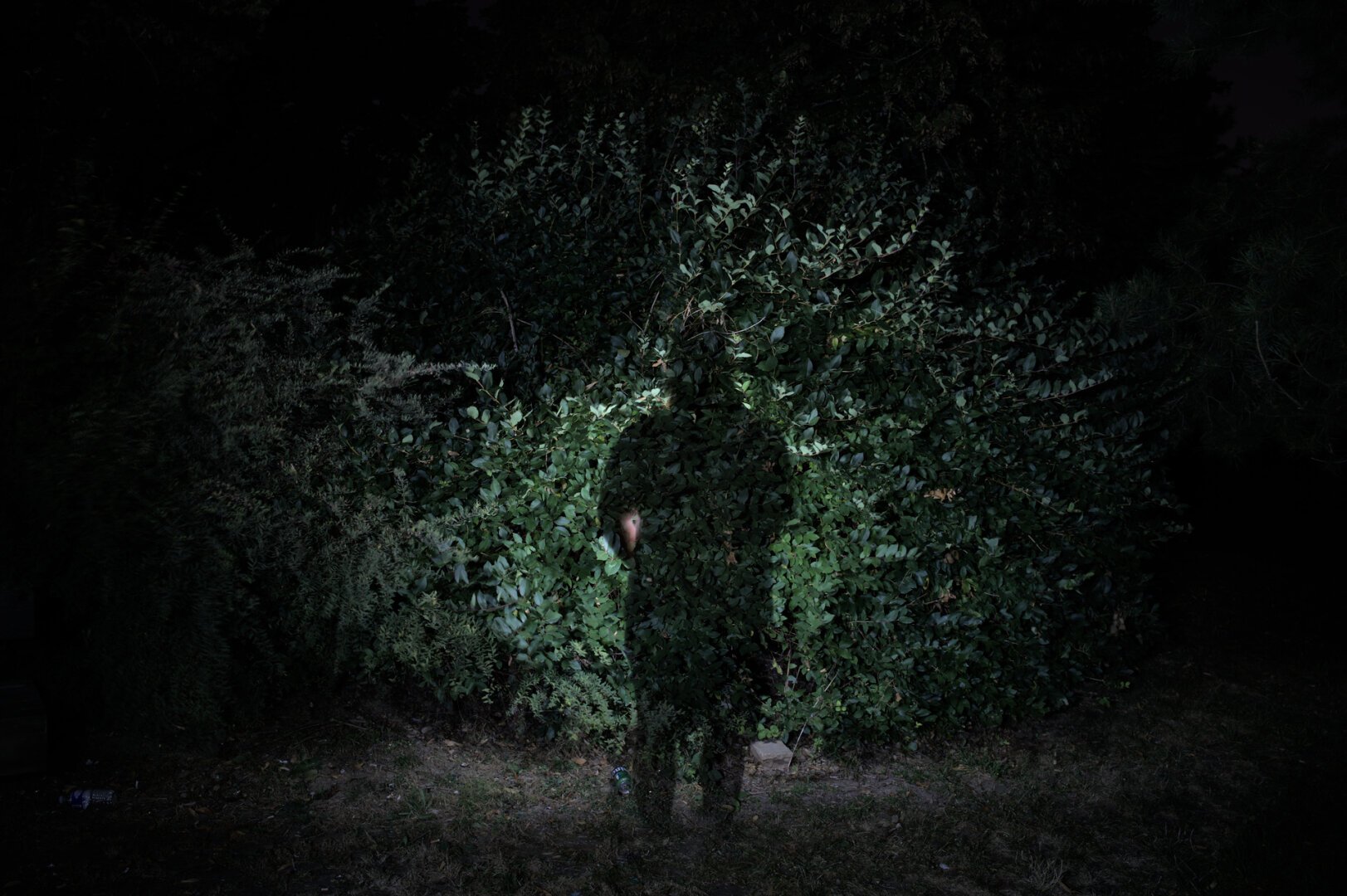 Silhouettes sur un banc