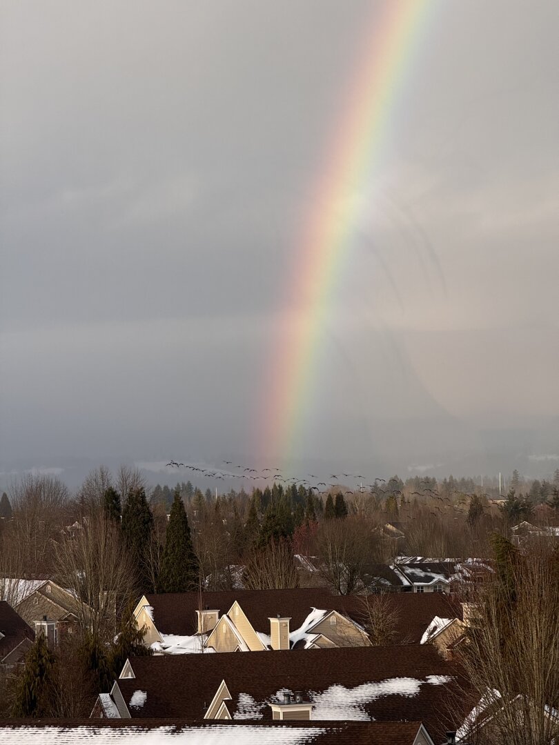 A rainbow bursts through a gloomy, snowy day in Portland, OR