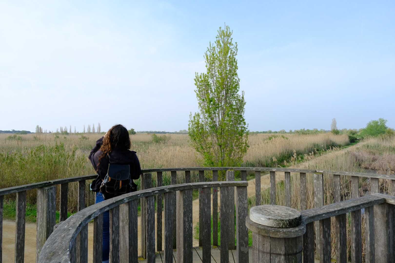 delta del llobregat, dona i arbre