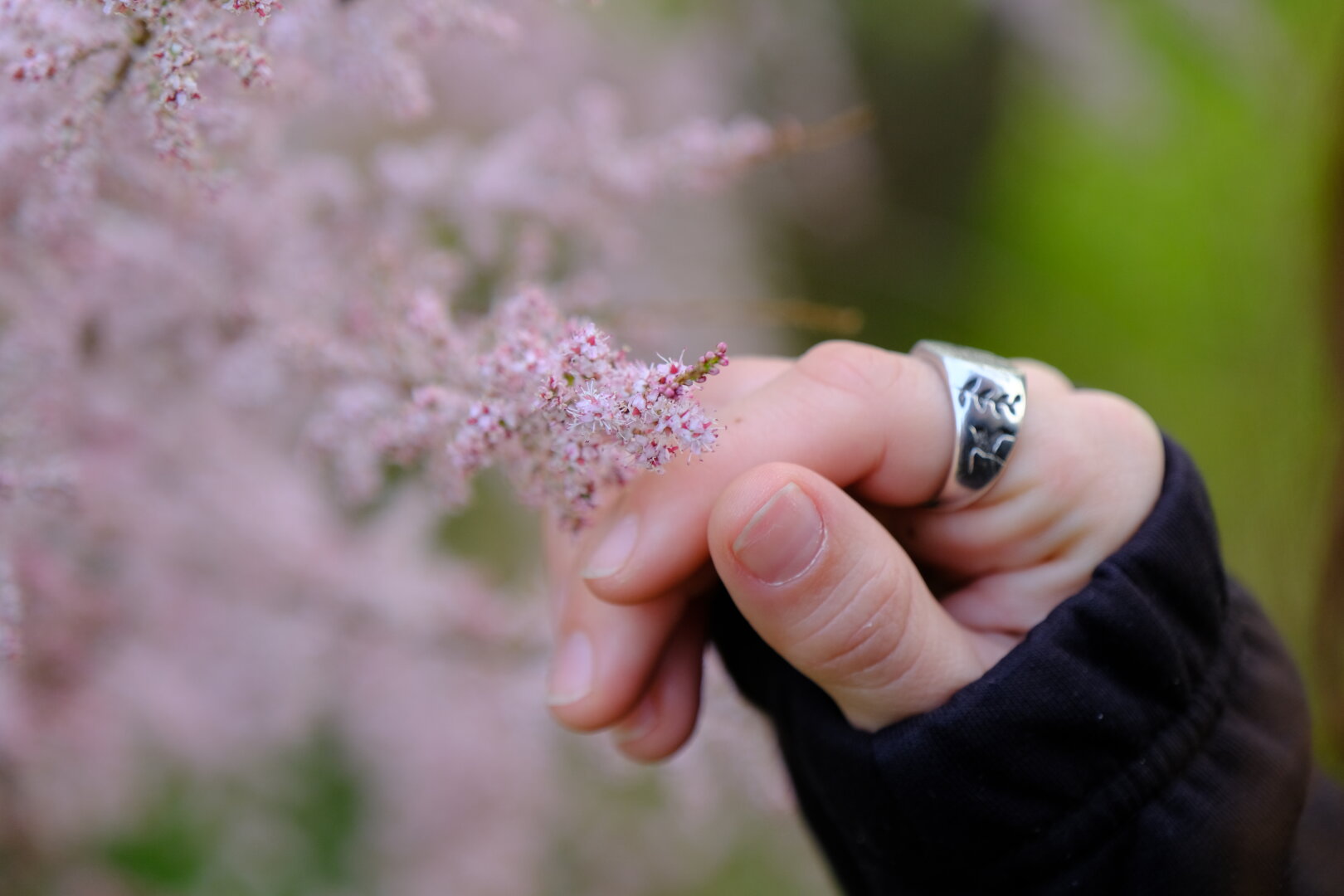 flors del delta del llobregat i mà de dona