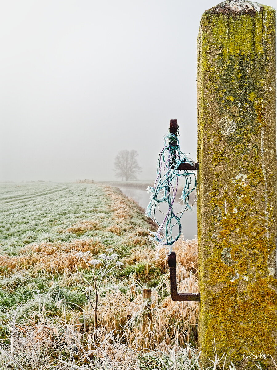 Old fence post in frosty ground