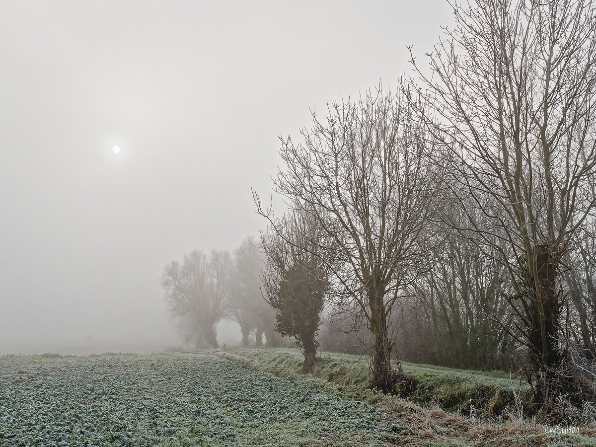 un matin brumeux dans les marais du Cotentin