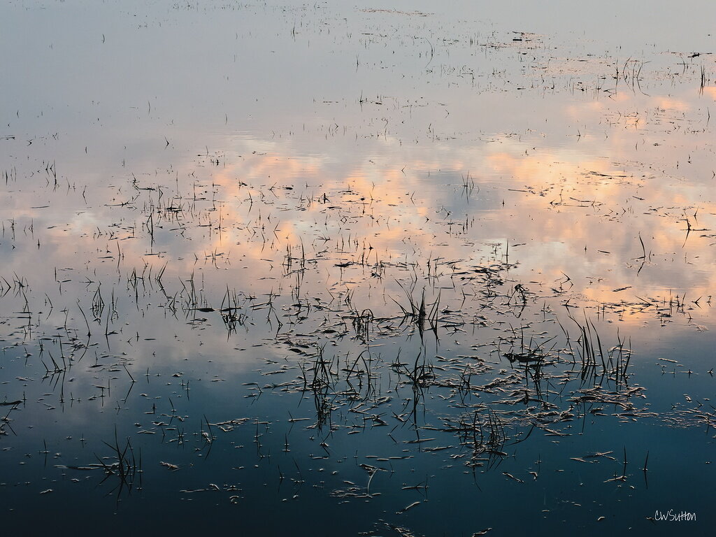 réflexions dans les marais du Cotentin