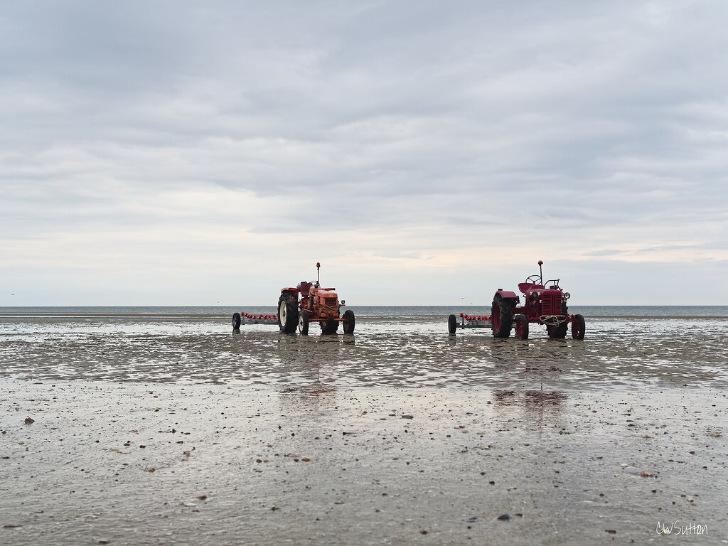 Tractors on the foreshore at dusk