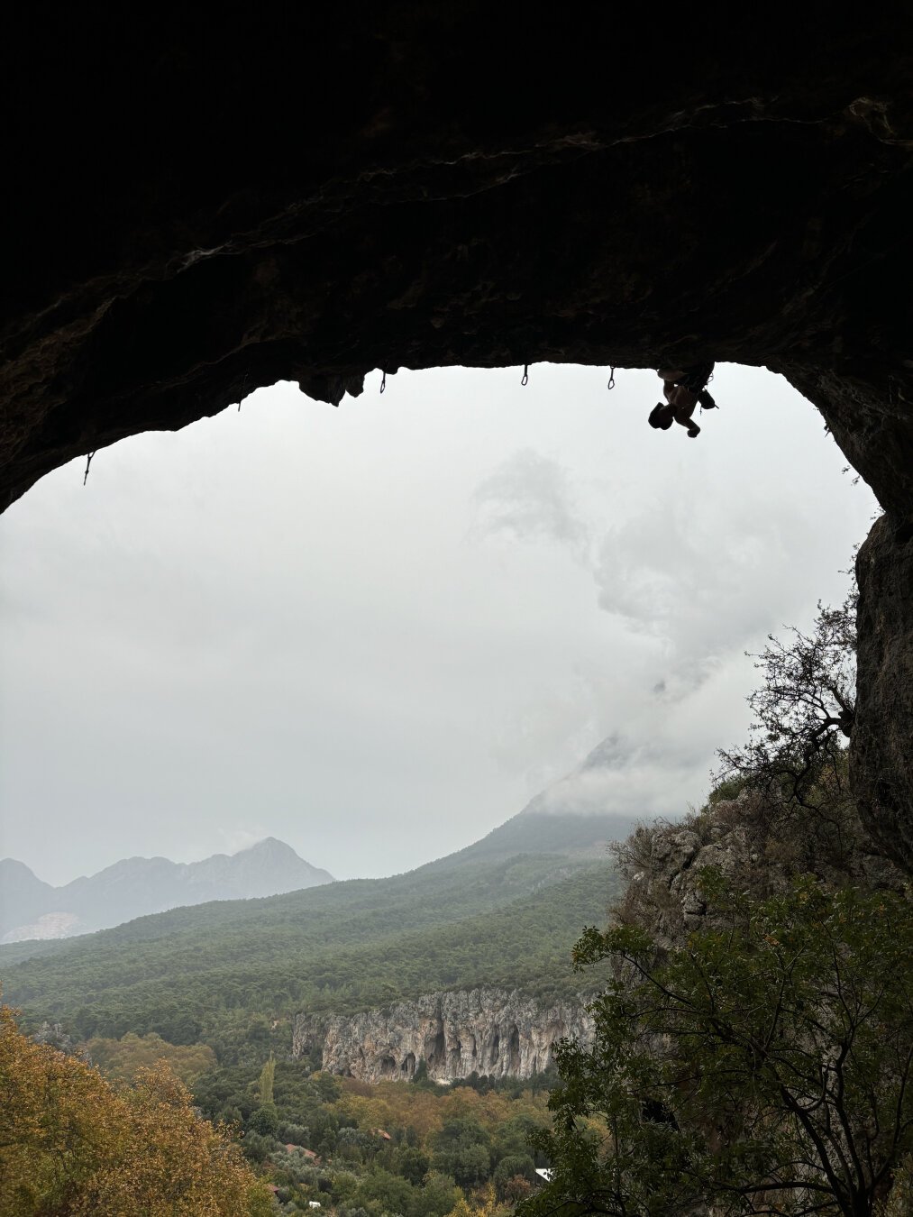 A picture from inside the cave, cloudy, a bit rainy day, orange trees and mountain in the clouds on the background, a man hanging upside down on the edge of the cave roof, shaking a hand to get out of pump.