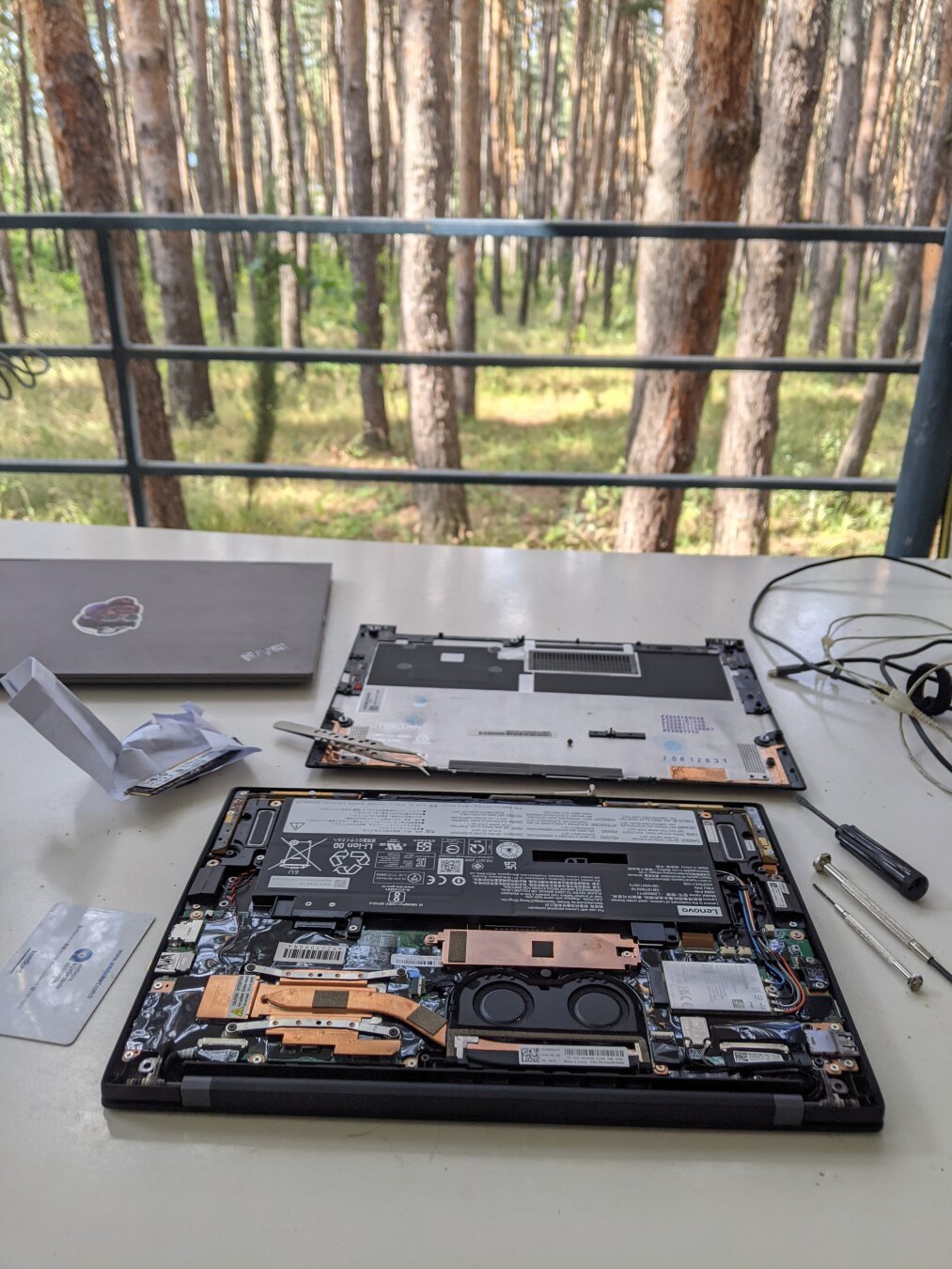 Disassembled laptop, bottom cover is openned, ssd and tools are lying around. Pine tree forest is on the background, just behind the table.