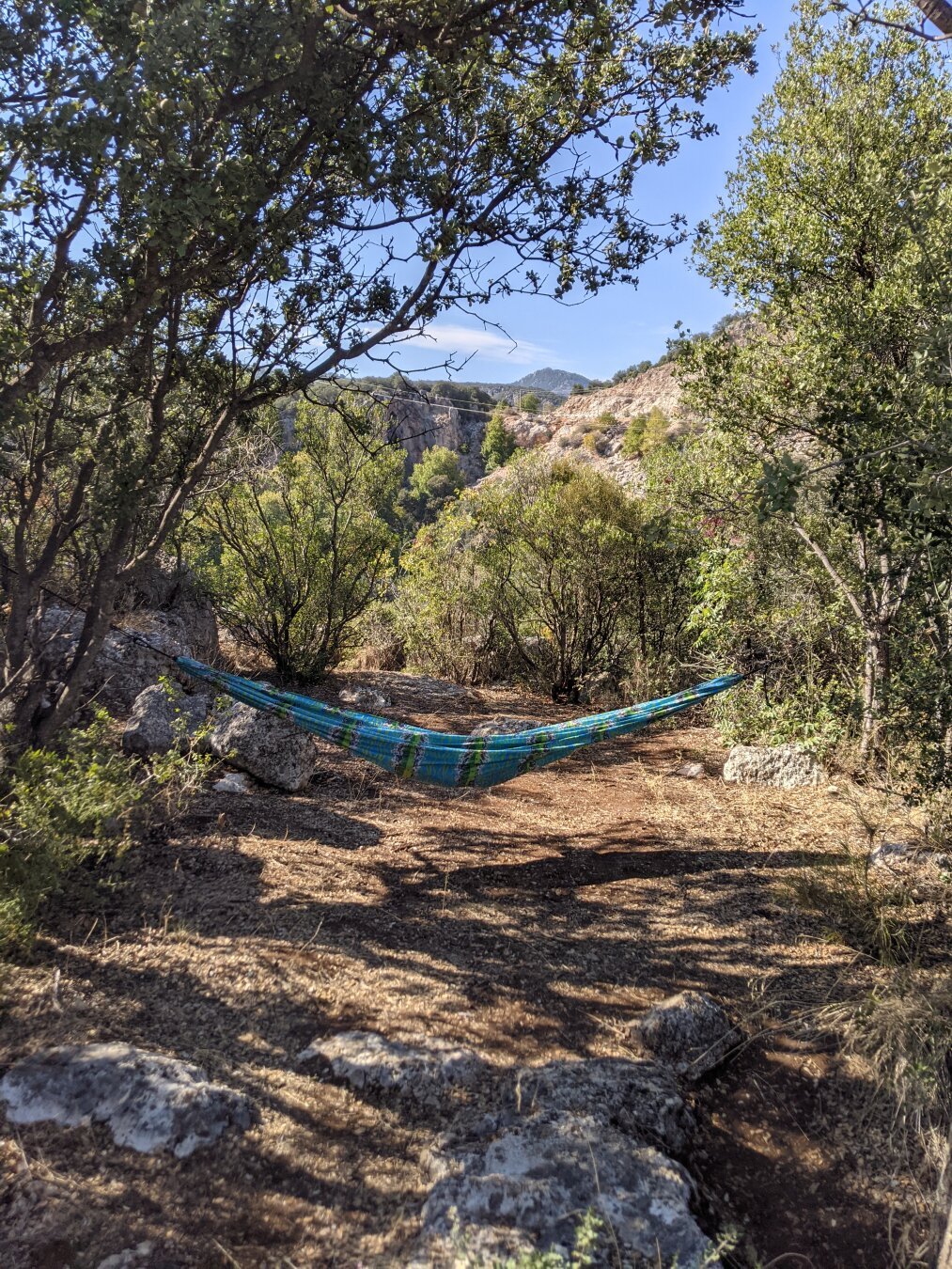 A hammock between trees, green stuff around, rocks on the back ground and clear blue sky.