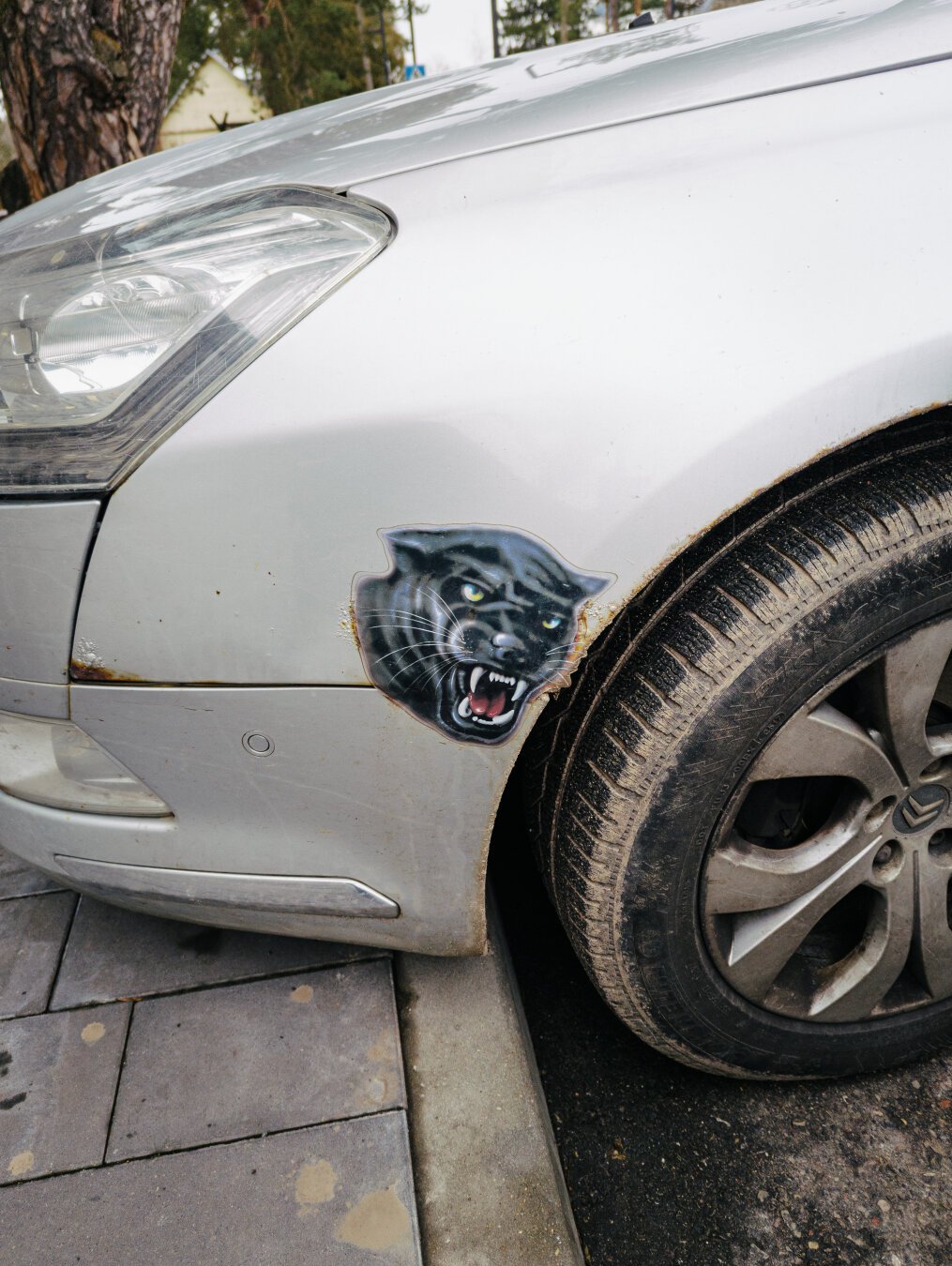 Black panther. Local car in Kačerginė.