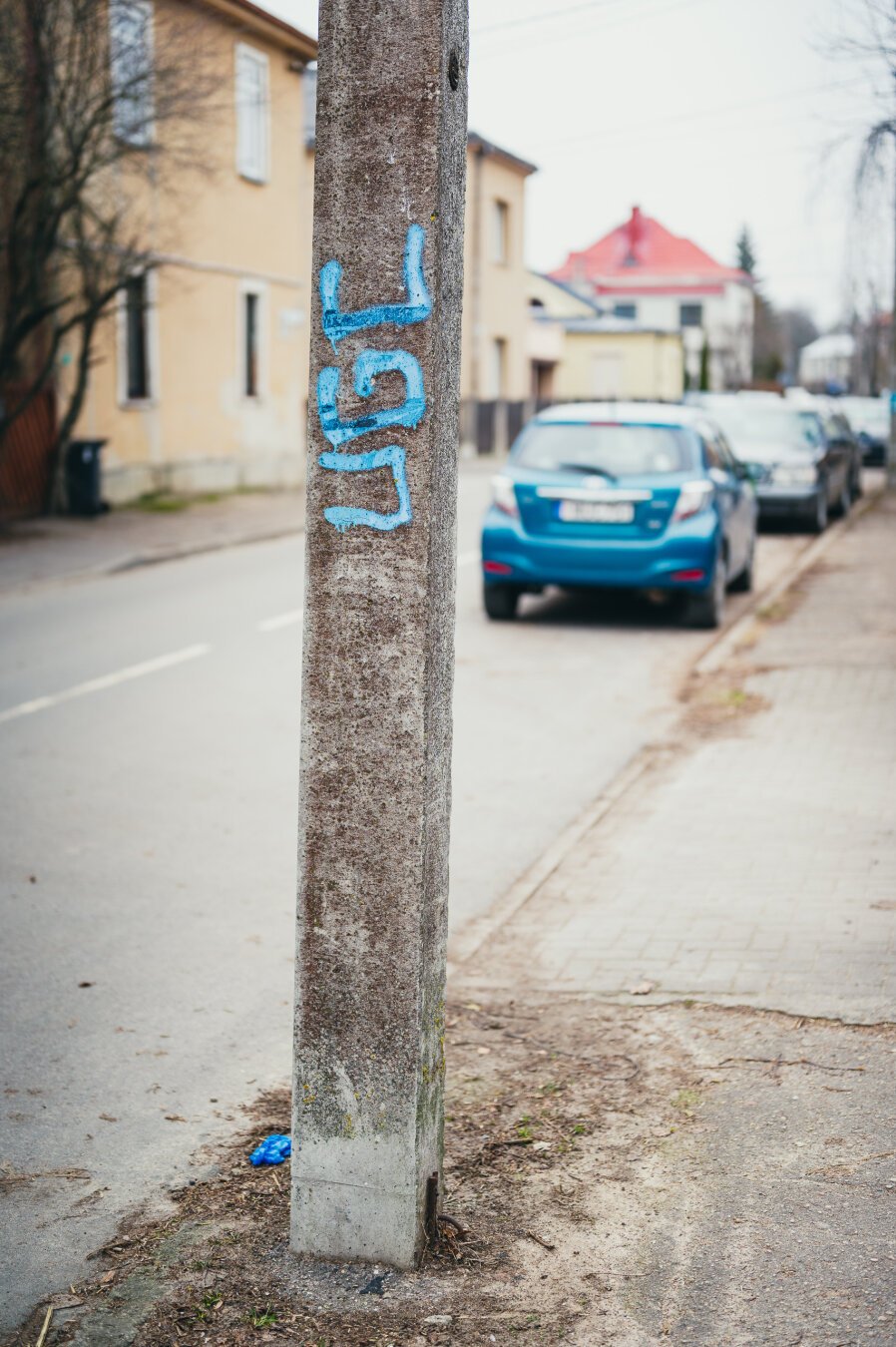 Here in Lithuania there are practically no colors in winter