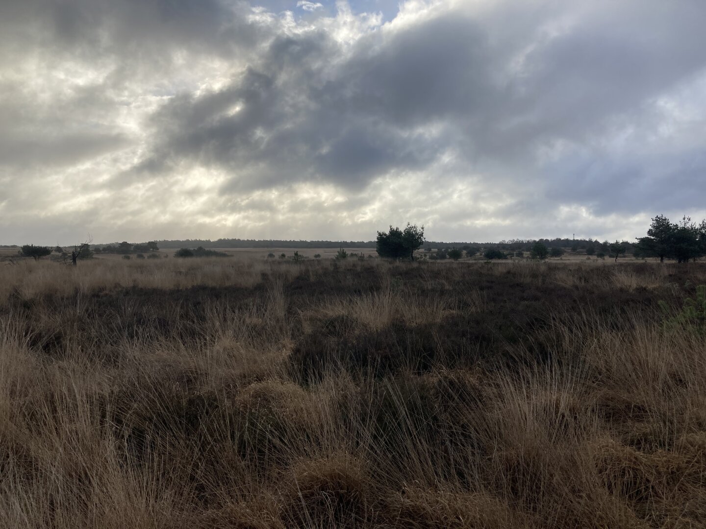 Outlook on brown landscape with  cloudy sky