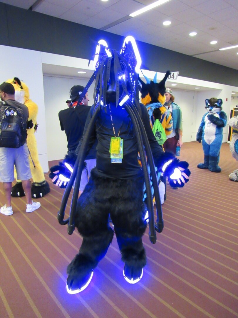 A black wolf fursuiter named Pestilence. The wolf has ears, eyes, rings around his muzzle, paws, and feet that glow purple. From the rings on his muzzle are numerous black PVC tubles that extend down past his legs and go behind his back into a pack that also glows.