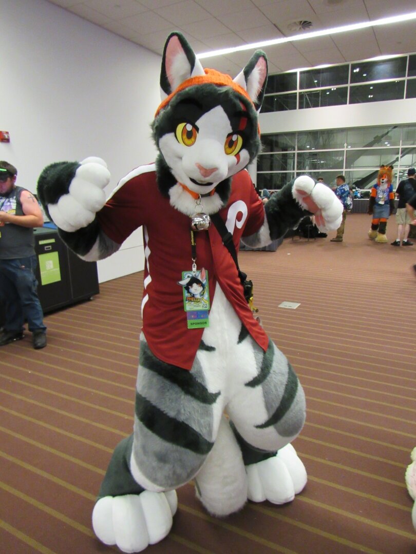 A white, gray, and black striped cat fursuiter wearing a red Philadelphia Phillies shirt, an orange collar with a silver bell, and an orange beanie. The cat's name is Phelix.