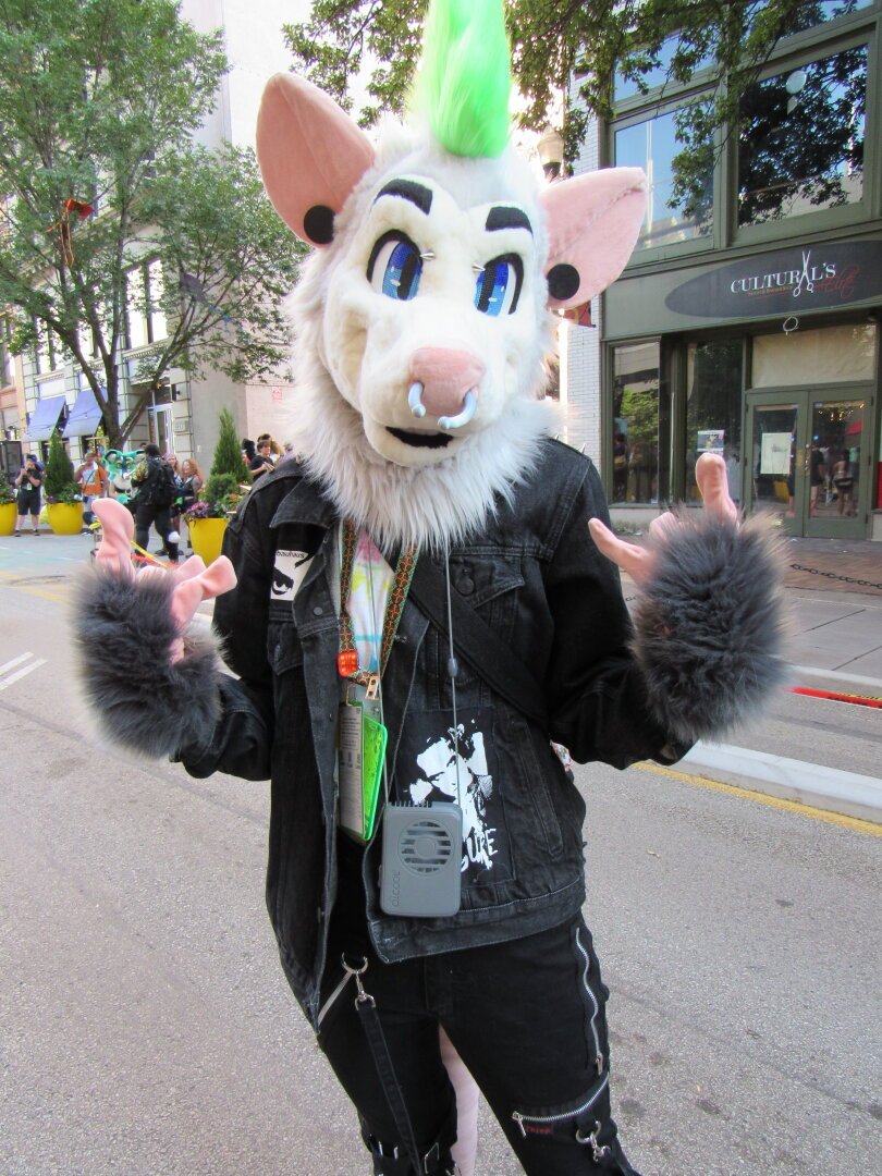 A white and gray possum with a green Mohawk, and nose ring fursuiter. They wear a grungy black jean jacket, and zippered pants. With both hands they use their fingers to make the rock out sign.