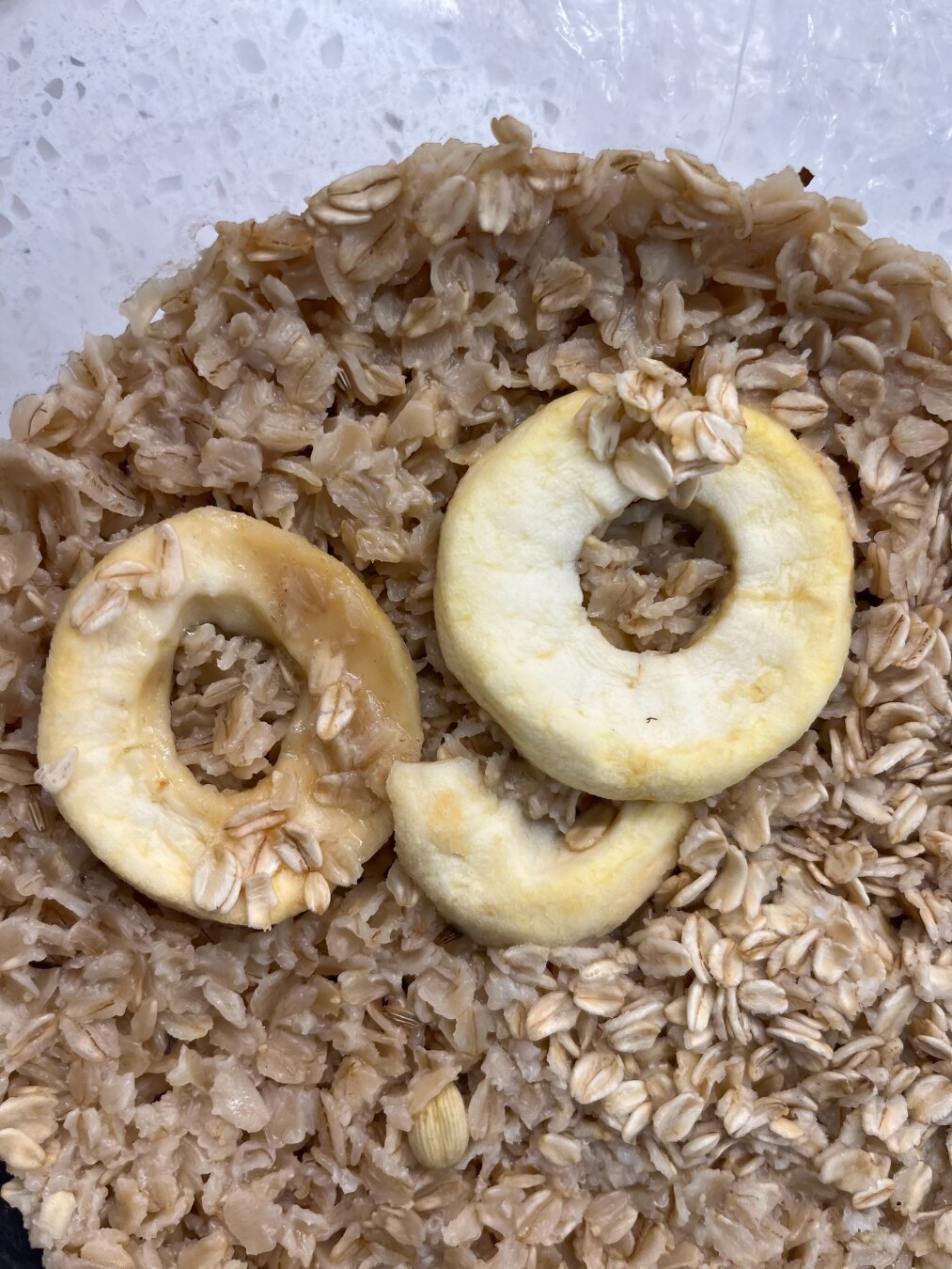 Oatmeal owl, different composition.