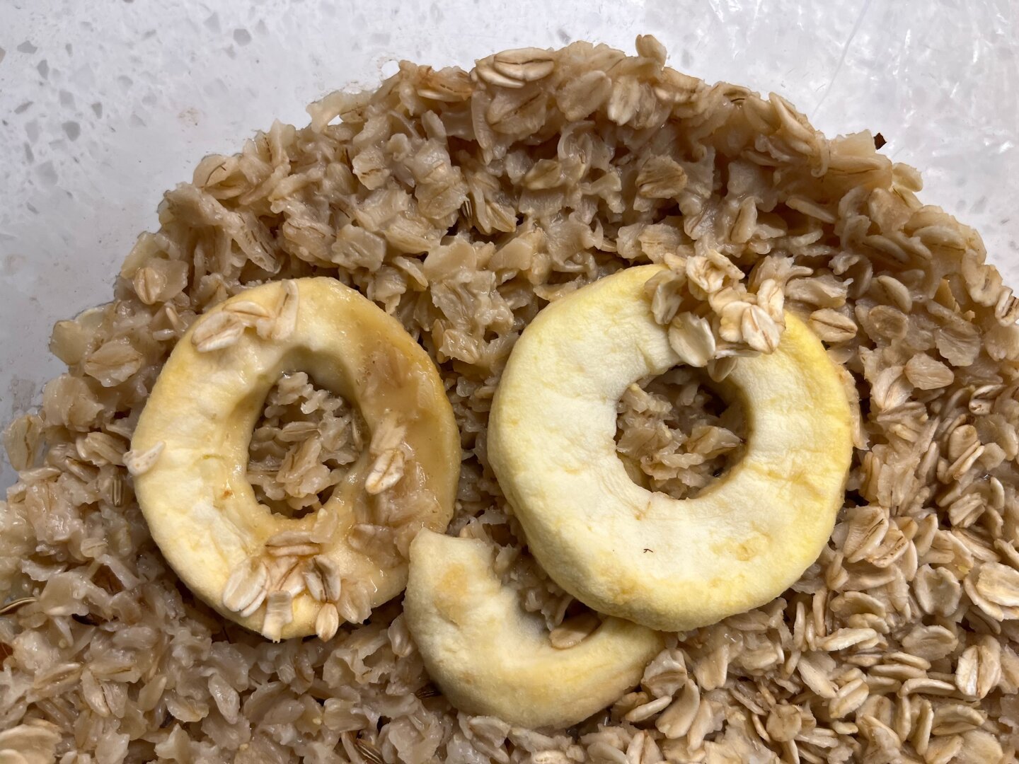 Oatmeal Owl, with dried apple slices as the eyes and break.