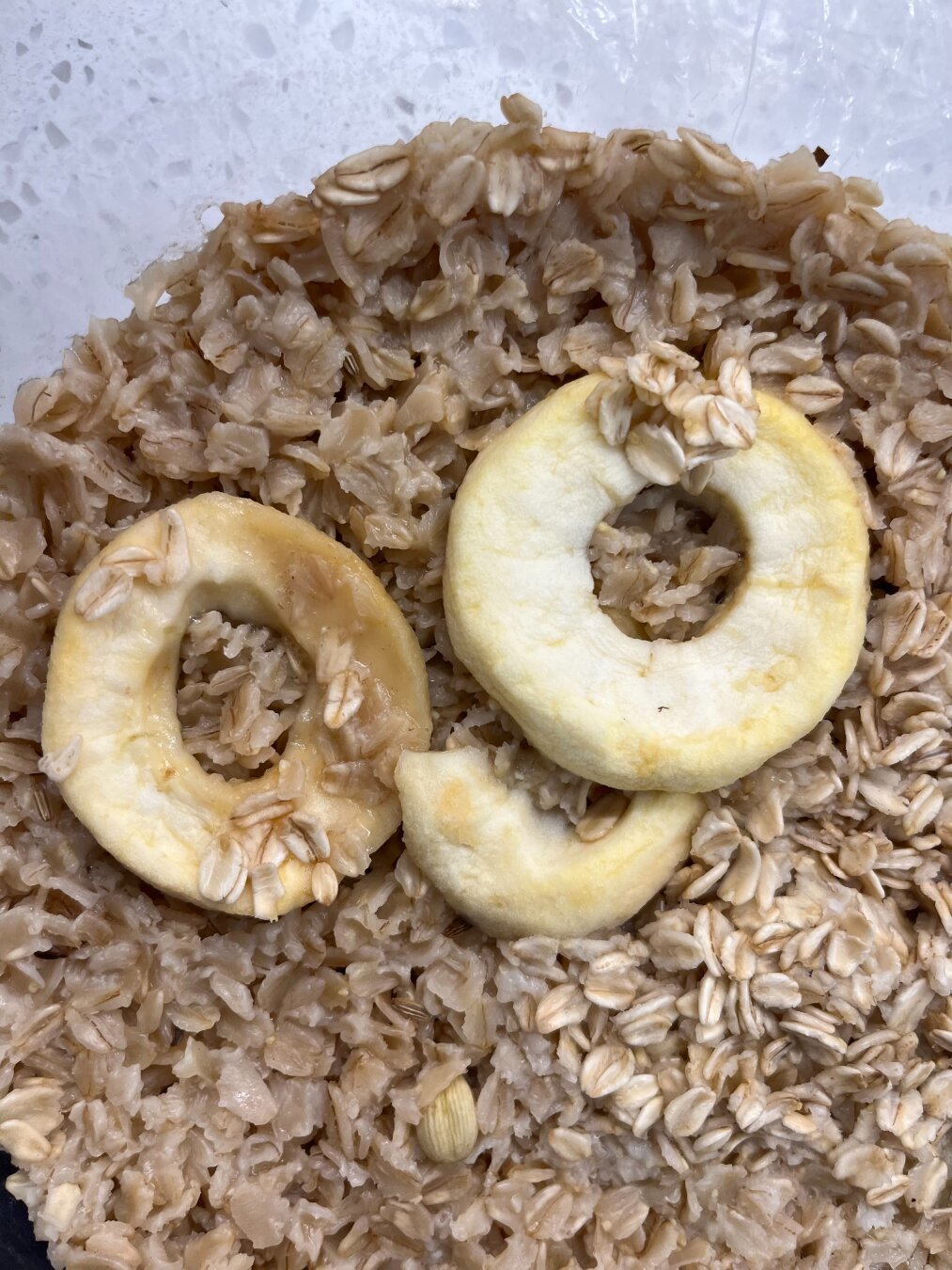 Another owl made of oatmeal.