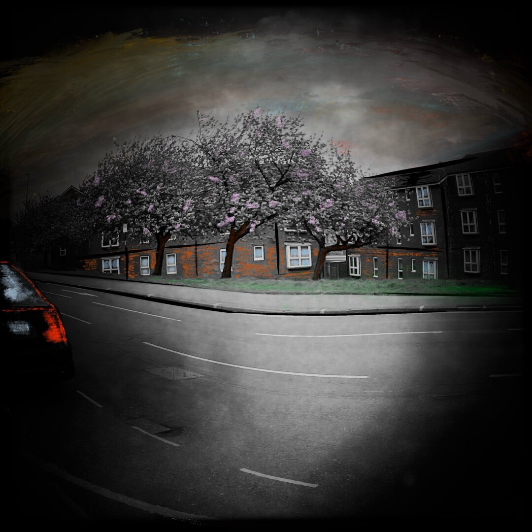 some houses in crookes road sheffield black and white picture