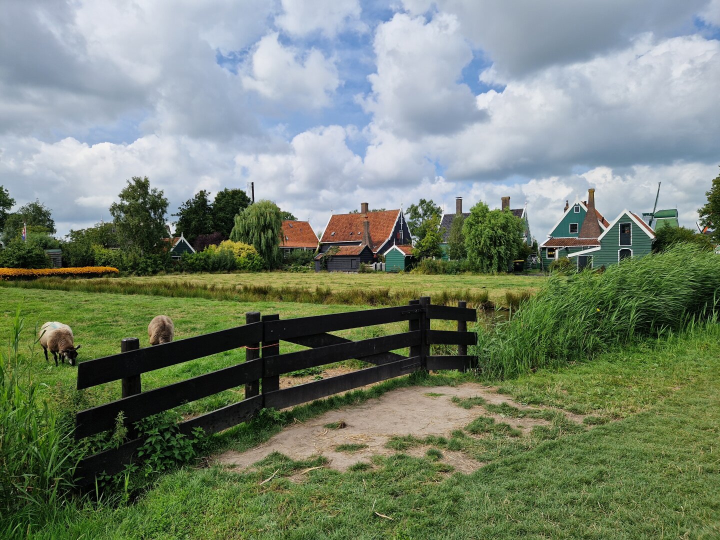 Life in the countryside